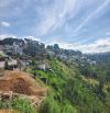 748M2 - HOÀNG HOA THÁM - P LÂM VIÊN ĐÀ LẠT