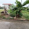 Bán Đất - Minh Trí( Sóc Sơn) - 104M2 Full Thổ Cư - 2Tỷ - Đường Thông Ô Tô Tránh