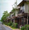 Cập nhật rổ hàng nhà phố biệt thự waterpoint: Nhà phố vườn thô từ 4tỷ Nhà phố vườn căn bìa
