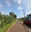 5,6 x 36m ĐẤT THỔ CƯ THÔN 3 CƯSUE GIÁ RẺ NHẤT KHU VỰC. CHỈ HƠN 300tr