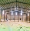 Xưởng Thuận An 1000m 55tr Có PCCC Đường Cont Sân Rộng