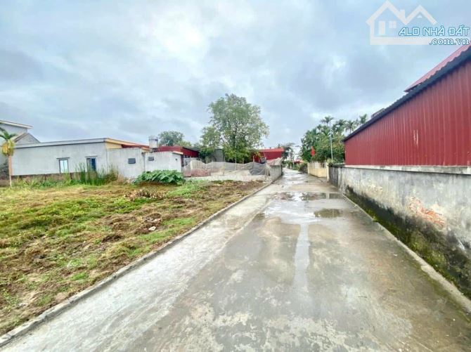 184m2 đất Thấp Linh, Minh Tân, Kiến Thụy