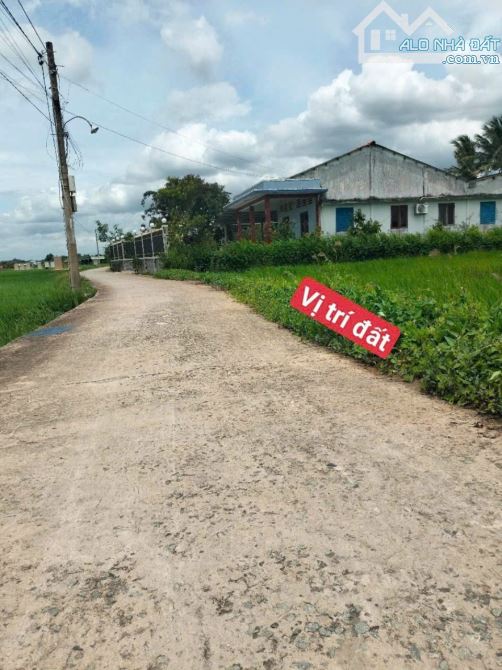 1145m2 có 145m2 thổ đức tân_TÂN trụ_Long An 1tỷ 50 triệu rẻ ngộp làm nhà vườn oke
