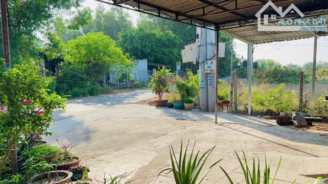 Bán lô đất mặt tiền đường Chuông Quýt xã  Phước Thuận nay là xã Hồ Tràm, tp Hồ Chí Minh