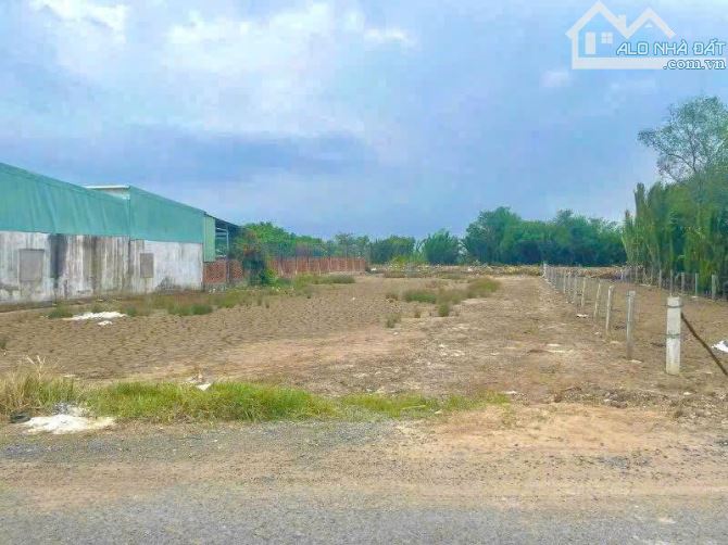 bán mặt tiiền rừng rác cần giờ giá mềm 1200m2