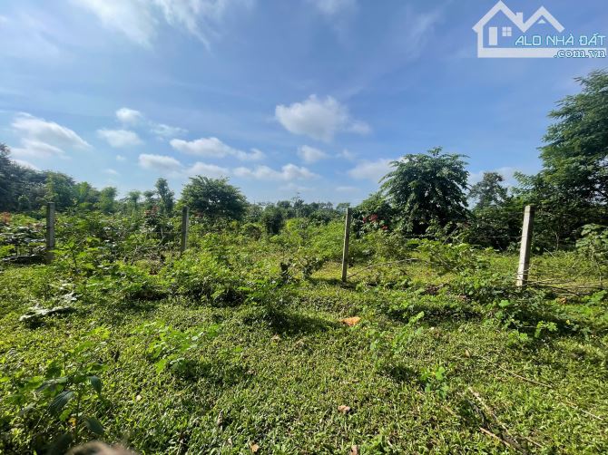 05 lô Quốc Lộ 14 buôn Aring xã Cuor Đăng huyện Cư Mgar