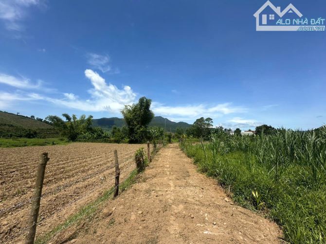 📌📌📌LÀM VIỆC TRỰC TIẾP GIÁ TỐT !!!Bán lô đất vườn hòa bắc