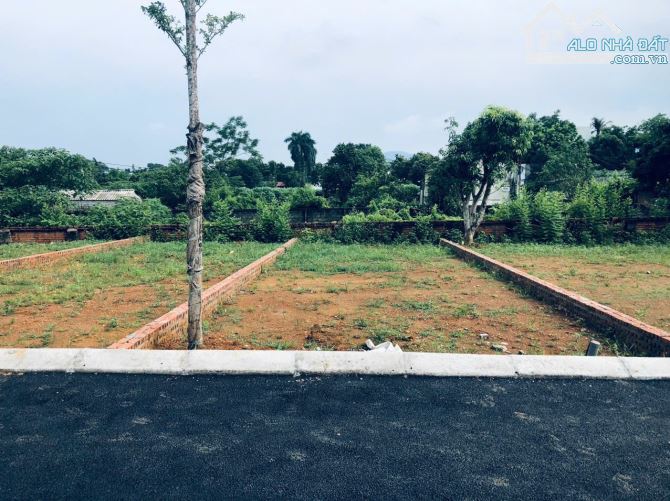 Lô Góc 3 Thoáng- Đất Nền Quất Lâm - Đối Diện Bãi tắm Cạnh Khu công Nghiệp Vsip Nam Định - 1