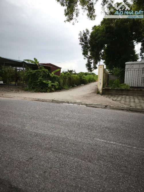 🏡ĐẤT NÔNG NGHIỆP- LỆ CHI GIA LÂM-Ô TÔ THÔNG- HAI MẶT NGÕ- GẦN TRƯỜNG HỌC, KHU TĐC CHI ĐÔN - 1