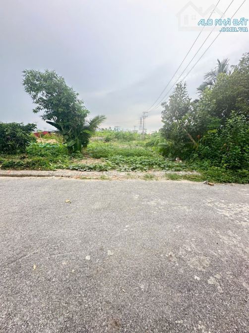 100m2 đất Tam Kiệt, Hữu Bằng, Kiến Thụy ngày trung tâm huyện - 1