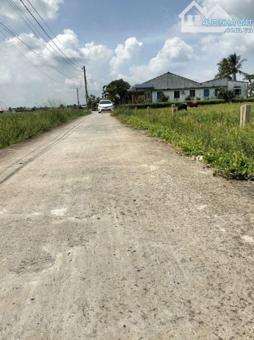 1145m2 có 145m2 thổ đức tân_TÂN trụ_Long An 1tỷ 50 triệu rẻ ngộp làm nhà vườn oke - 1