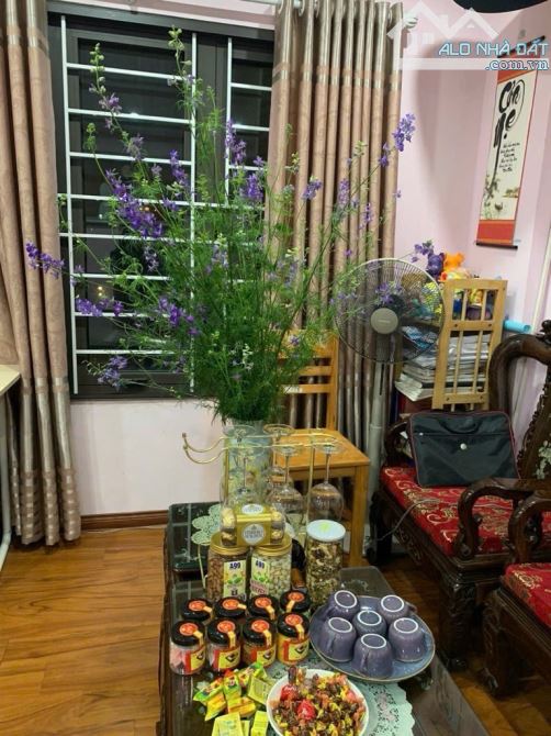 Ngọc thuỵ, ô tô đỗ cửa, ngõ thông Nguyễn Gia Bồng, Hồng Tiến - 1