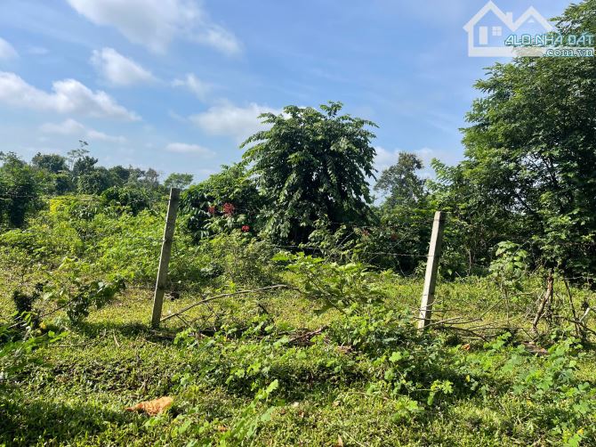 05 lô Quốc Lộ 14 buôn Aring xã Cuor Đăng huyện Cư Mgar - 1