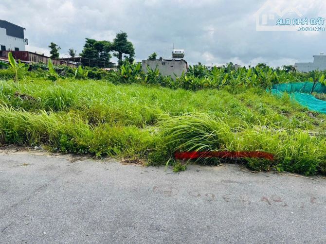 Bán đất TDP Phấn Dũng - Anh Dũng - Dương Kinh - Hải Phòng - 1