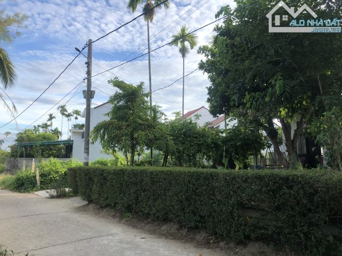 BÁN ĐẤT ĐƯỜNG DX17 – CẨM THANH – HỘI AN - VIEW DỪA NƯỚC CỰC ĐẸP (MS478) - 1