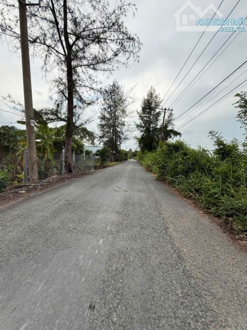 Bán gấp 3455m2 lúa, mặt tiền Đê số 4, Tân Nhựt, Bình Chánh, cách Võ Trần Chí 3km - 1