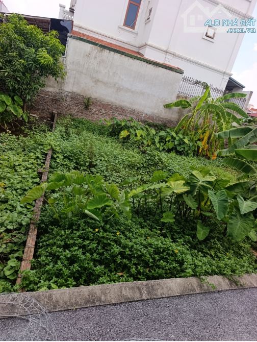 ĐÀO XUYÊN - ĐA TỐN HƠN 3TY Ô TÔ VÀO ĐẤT - 1