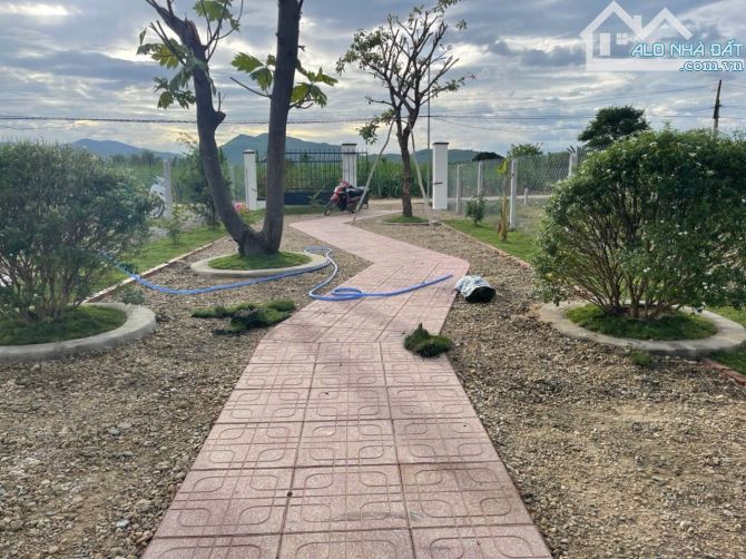 Chủ kẹt tiền cần bán Fram Diên Khánh tâm huyết tại diên đồng  879 triệu  👉Diện tích 500 M - 2