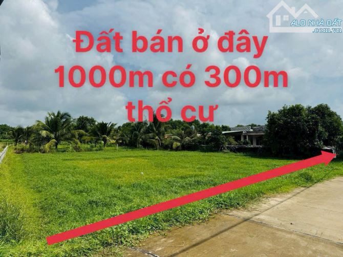 Cần bán đất mặt tiền đường bê tông 6m 2/ TL7 xã Phước Thạnh 32x35 300m2 thổ cư - 2