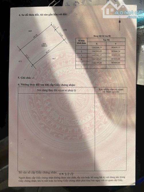 1145m2 có 145m2 thổ đức tân_TÂN trụ_Long An 1tỷ 50 triệu rẻ ngộp làm nhà vườn oke - 2