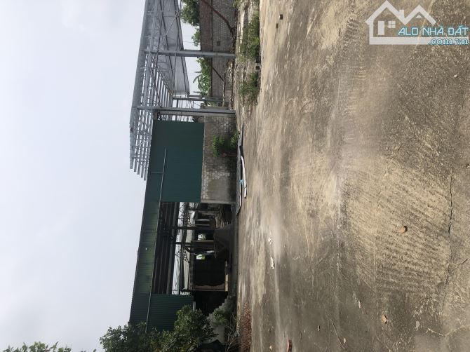 Bán 2161m2 đất phi nông nghiệp tại  Đông Cường, Đông Hưng, Thái Bình mặt tiền 30m xe công - 2