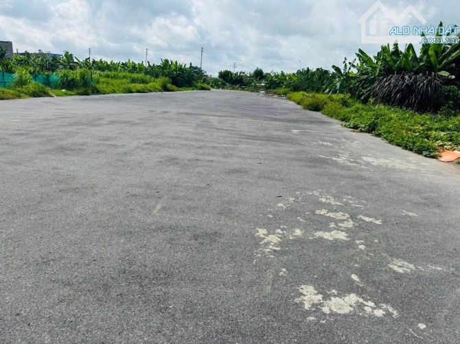 Bán đất TDP Phấn Dũng - Anh Dũng - Dương Kinh - Hải Phòng - 2