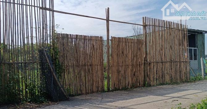 Đất Khu dân cư Ấp 21, xã Bình Mỹ, ô tô thông, 10x12,5m, 560tr - 2