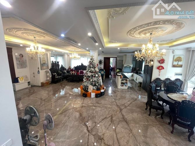 BIỆT THỰ HOA SỮA KHU ĐÔ THỊ SINH THÁI VINHOMES RIVERSIDE 367m 4 TẦNG MẶT TIỀN 10m 155TỶ - 2