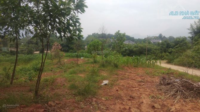 CHÍNH CHỦ BÁN ĐẤT XÃ YÊN BÀI-BA VÌ, 1,7tr/m2, GẦN SUỐI - 2