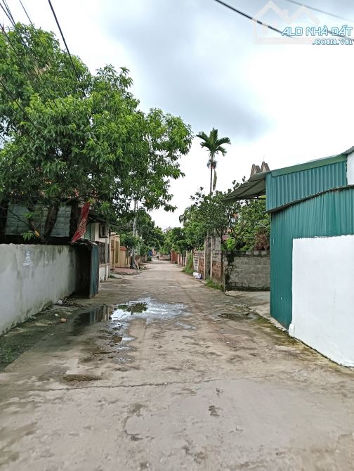 Bán 45m vuông đẹp 👉dũng tiến -thường tín 💸 giá rẻ đầu tư - 2