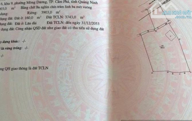 Đất bán tại Mông Dương, Cẩm Phả, Quảng Ninh - Vị trí vàng, tiềm năng sinh lời. - 2