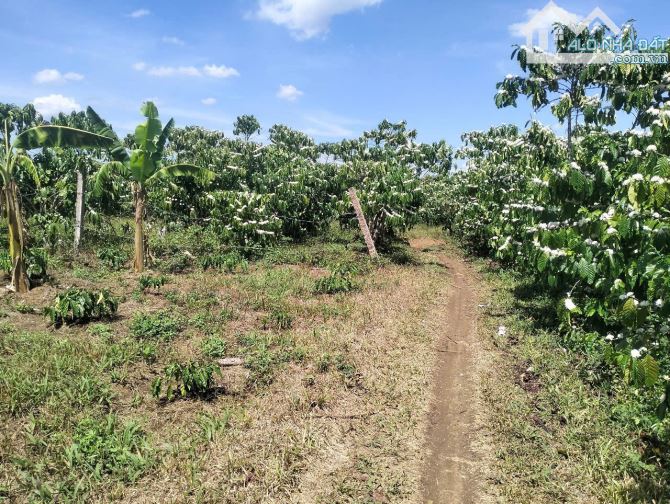 bán nhanh lô đất chuẩn bị mở xưởng kho - 2