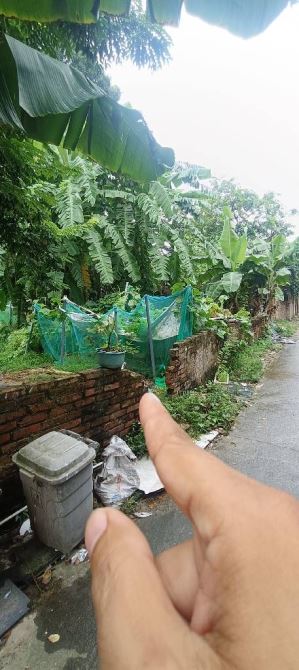 Bán 75m2 đất Song Liễu cạnh dự án Hồng Hạc - 3
