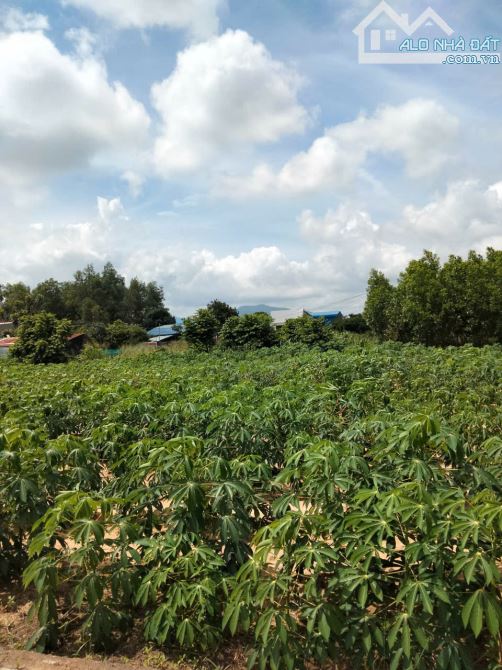 Bán lô 2 Hắc Dịch-Tóc Tiên : 6*32, 100M2 thổ cư, chỉ 1.5T - 3