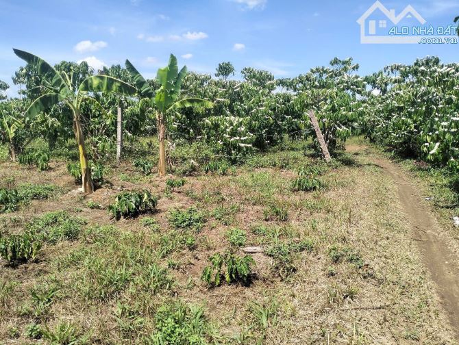 bán nhanh lô đất chuẩn bị mở xưởng kho - 3