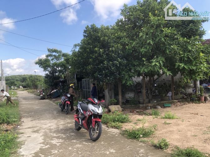 Gấp  Bán  210m2 full Thổ cư ở Ely Sông Hinh phú yên - 3