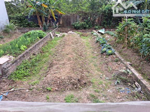 BÁN ĐẤT TRÁNG VIỆT- MÊ LINH- THÔNG Ô TÔ- GẦN CẦU THĂNG LONG- THƯỢNG CÁT- CHỈ 40TR/M² - 3