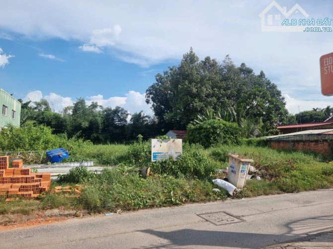 Bán đất 22x48m (1.026m²) gần ngay công viên khu vực 3 thị trấn Đức Hòa, Long An giá 14 tỷ - 3