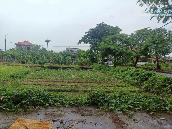 Lô góc Đa Ngư, Tân Trào lõi khu công nghiệp Tân Trào - 4