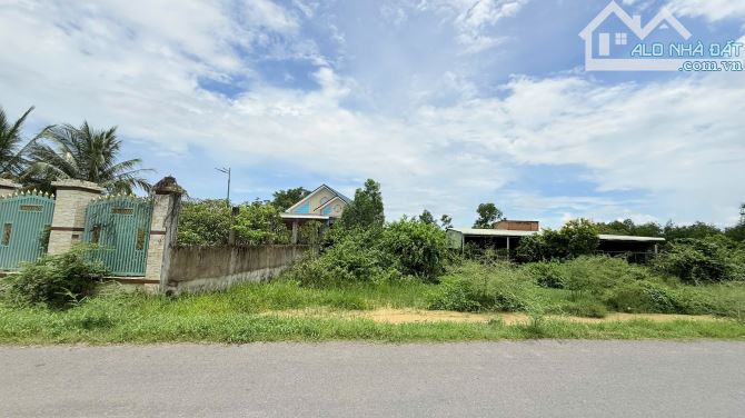 BÁN LÔ ĐẤT MẶT TIỀN ĐƯỜNG HỒ CHÍ MINH – ĐOẠN CHƠN THÀNH - ĐỨC HÒA - 4