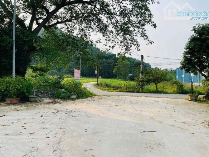 Bán 155m2 đất, full đất ở, tuyến 2 mặt đường Bài Dài,nằm sát Xanh Vilas tại Miễu Tiến Xuân - 4