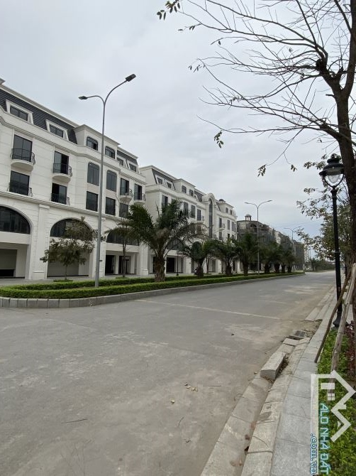 Phân khu Anh Quốc - dự án hinore royal park - 4