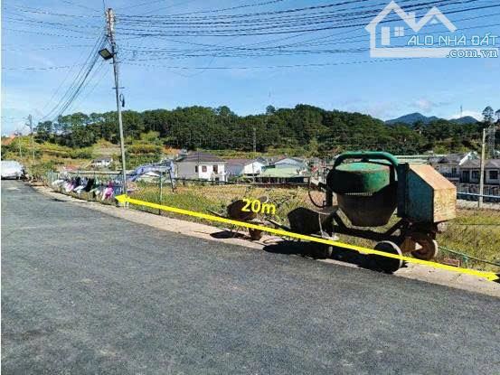 Bán Đất Đan Kia – Phường 7, Tp. Đà Lạt | Sổ Riêng, Thổ Cư, View Đồi Thông Thoáng - 4
