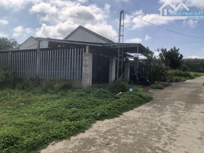 Gấp  Bán  210m2 full Thổ cư ở Ely Sông Hinh phú yên - 4