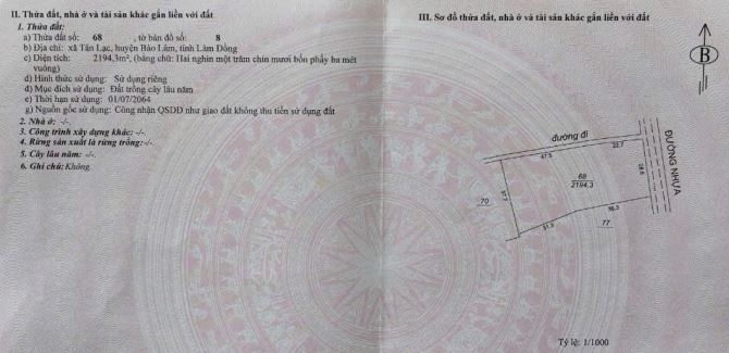 Bán đất xào Tân Lạc - Bảo Lâm - Lâm Đồng - 4