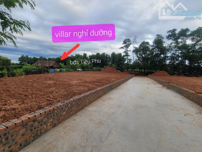 BĐS Tiều Phu mở bán 17 lô đất F0 đang giai đoạn " đặt gạch". Chỉ từ 7xx tr/lô - 5