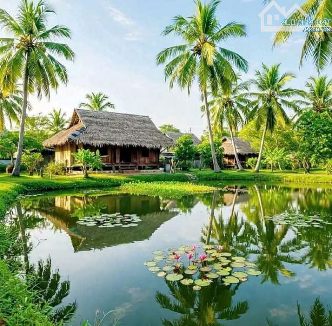 1145m2 có 145m2 thổ đức tân_TÂN trụ_Long An 1tỷ 50 triệu rẻ ngộp làm nhà vườn oke - 5