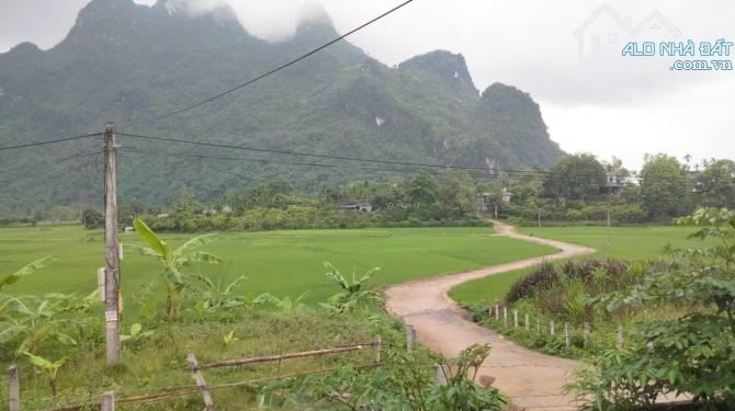 CẦN BÁN ĐẤT SẴN NHÀ KHANG TRANG TẠI KIM BÔI  2,X TỶ - 5