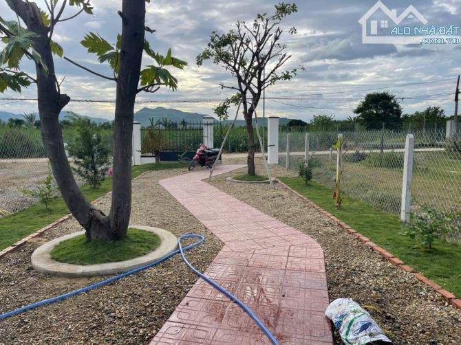 Chủ kẹt tiền cần bán Fram Diên Khánh tâm huyết tại diên đồng  879 triệu  👉Diện tích 500 M - 6