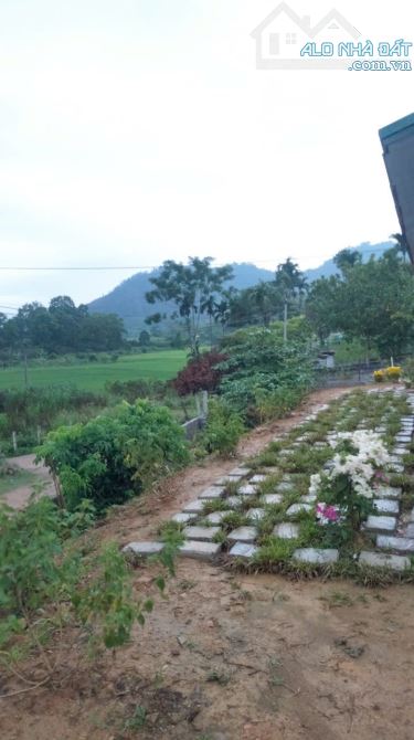 CẦN BÁN ĐẤT SẴN NHÀ KHANG TRANG TẠI KIM BÔI  2,X TỶ - 6